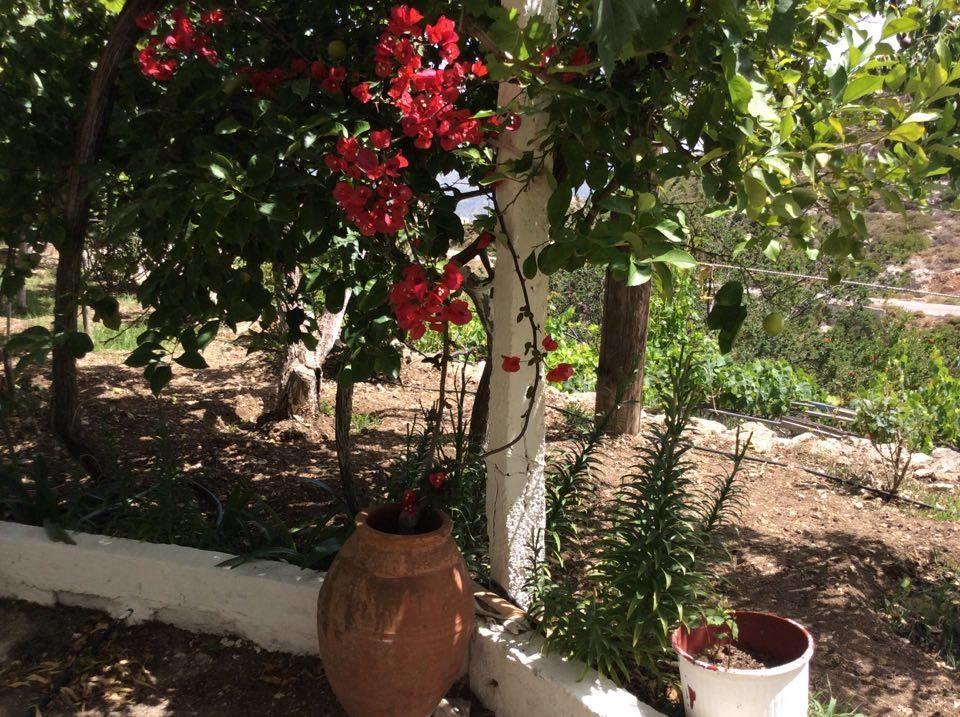 La Villa Di Zazopetra Menetész Kültér fotó