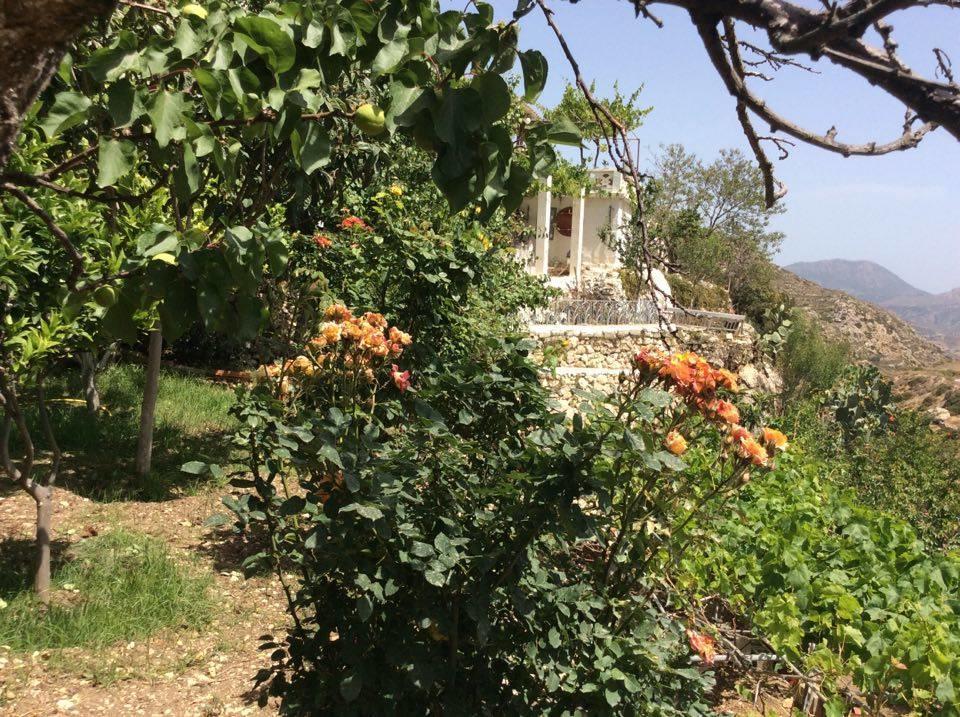 La Villa Di Zazopetra Menetész Kültér fotó