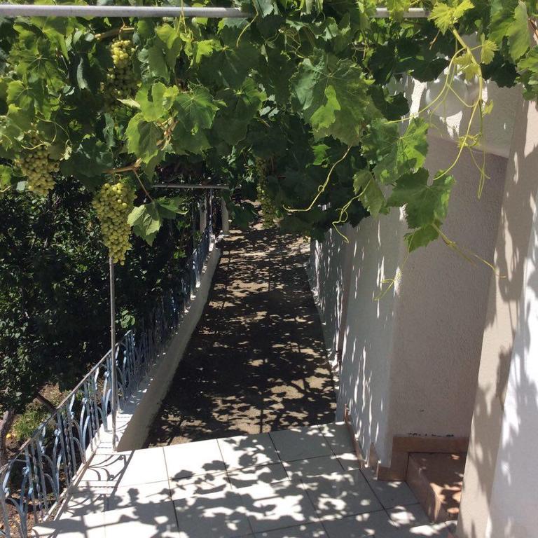 La Villa Di Zazopetra Menetész Kültér fotó