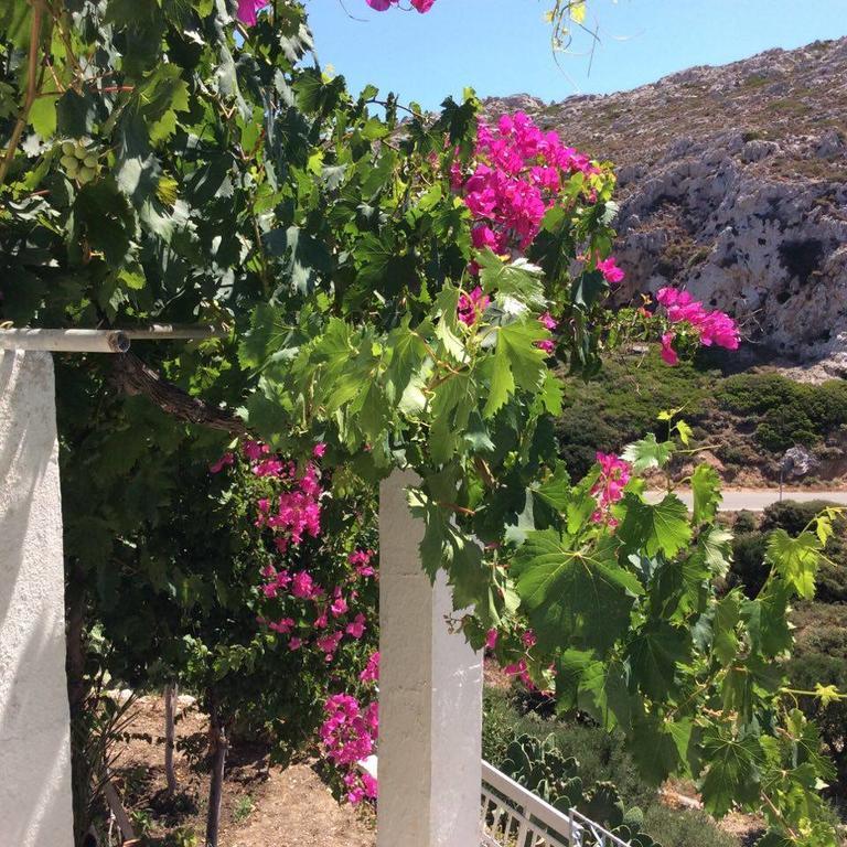 La Villa Di Zazopetra Menetész Kültér fotó