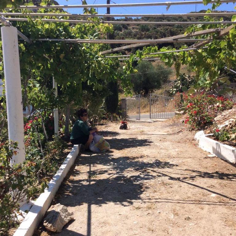 La Villa Di Zazopetra Menetész Kültér fotó