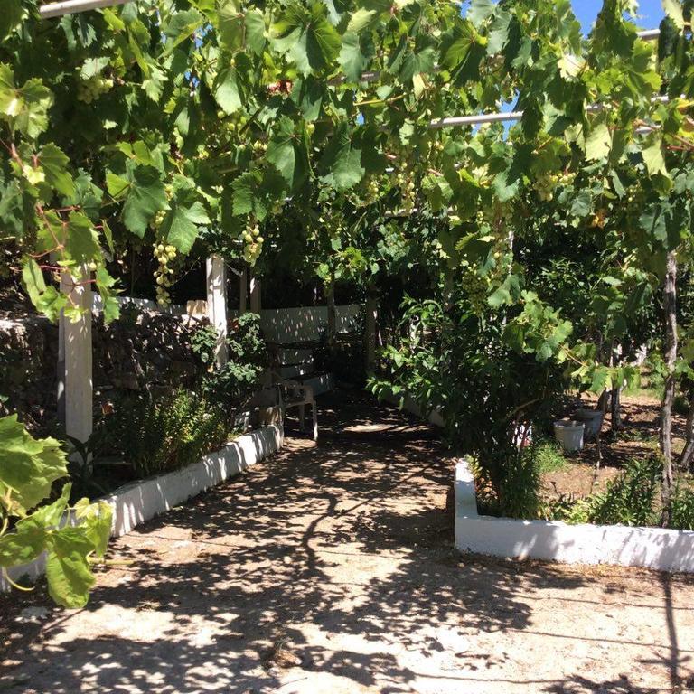 La Villa Di Zazopetra Menetész Kültér fotó