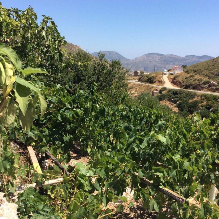 La Villa Di Zazopetra Menetész Kültér fotó
